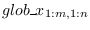 $glob\_x_{1:m,1:n}$