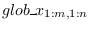 $glob\_x_{1:m,1:n}$